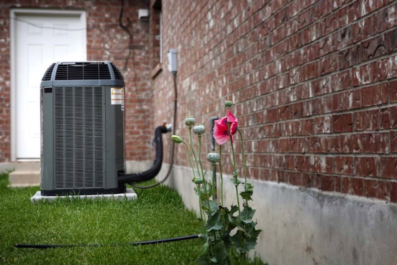 Outdoor air conditioner next to a pink flower.