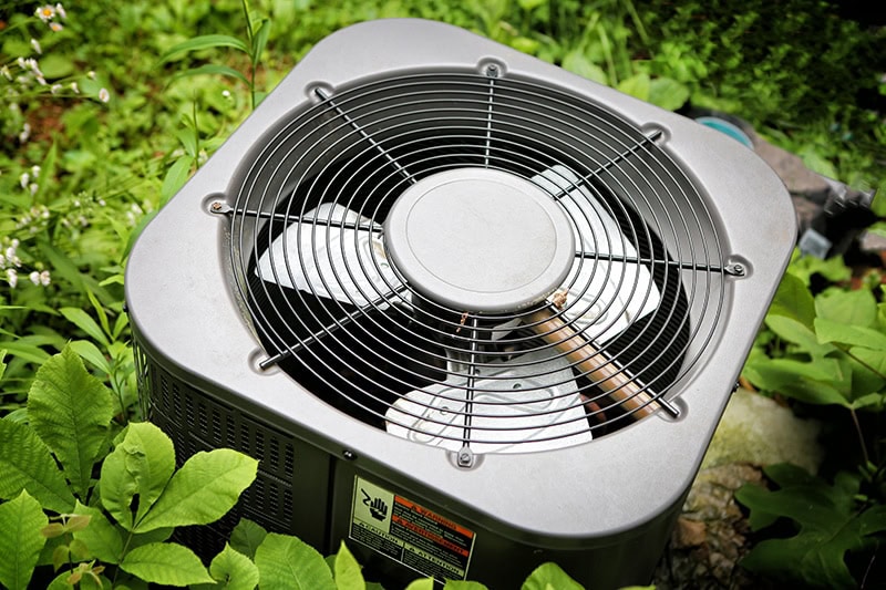 Do Air Conditioners Eliminate Mold? AC Unit surrounded by plants outside.